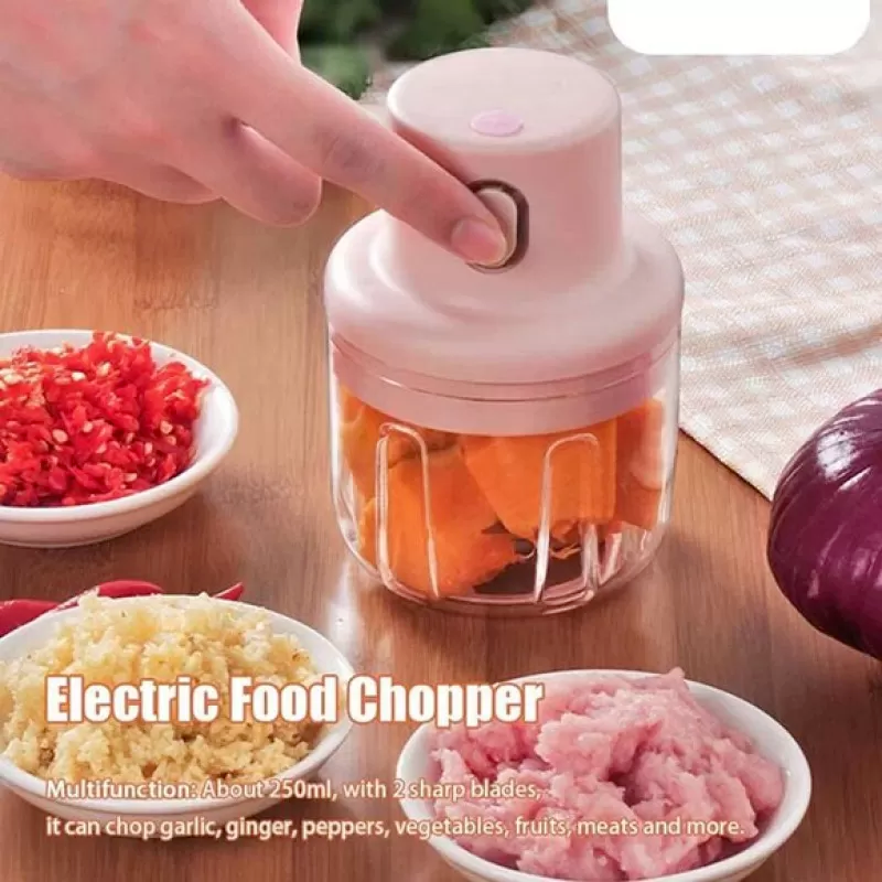 Electric Mini Grinder Food Chopper (250ml) Single Bowl Pic 2