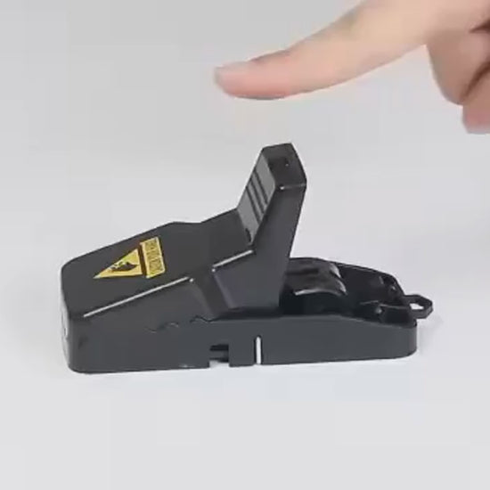Durable Mouse Trap Pack Of 3  With Strong Spring And Easy Setup Video